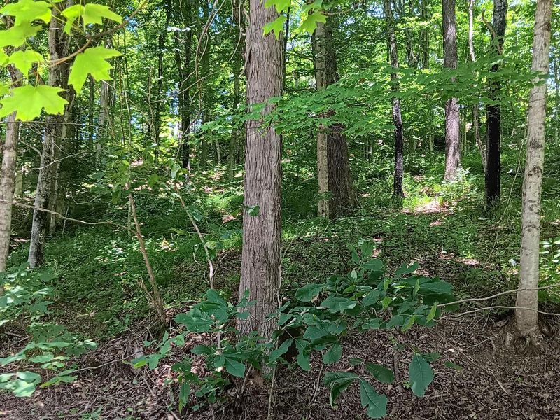 0 Keystone Road , Unit (Creekview, Vinton, OH 45686 Photo 39