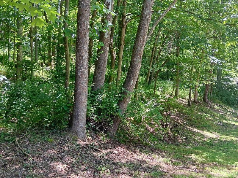 0 Keystone Road , Unit (Creekview, Vinton, OH 45686 Photo 40