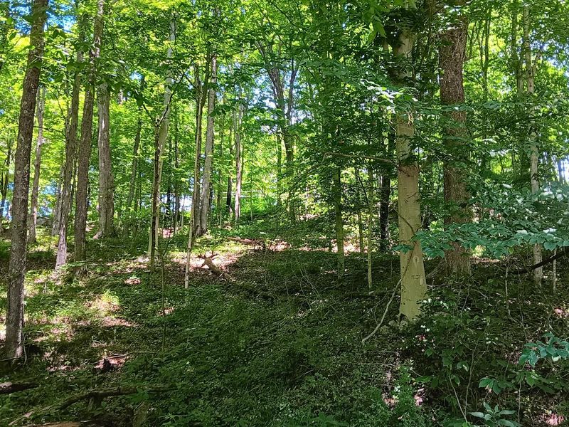 0 Keystone Road , Unit (Creekview, Vinton, OH 45686 Photo 41
