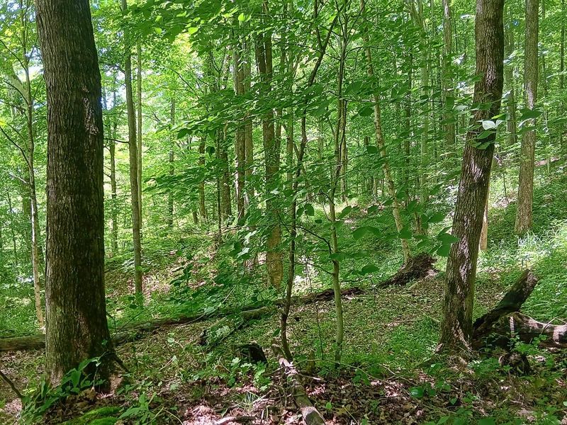 0 Keystone Road , Unit (Creekview, Vinton, OH 45686 Photo 43