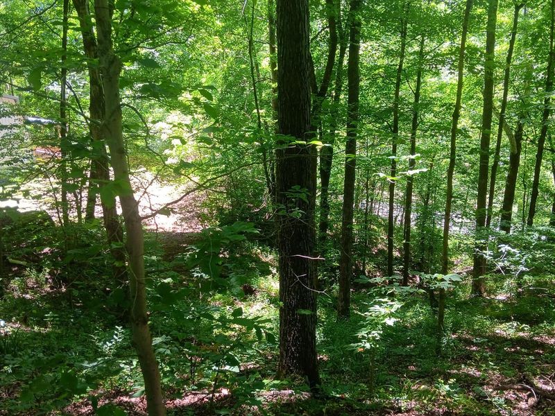 0 Keystone Road , Unit (Creekview, Vinton, OH 45686 Photo 48