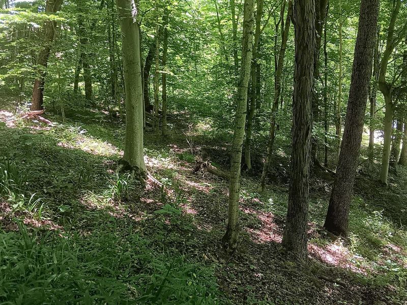 0 Keystone Road , Unit (Creekview, Vinton, OH 45686 Photo 49