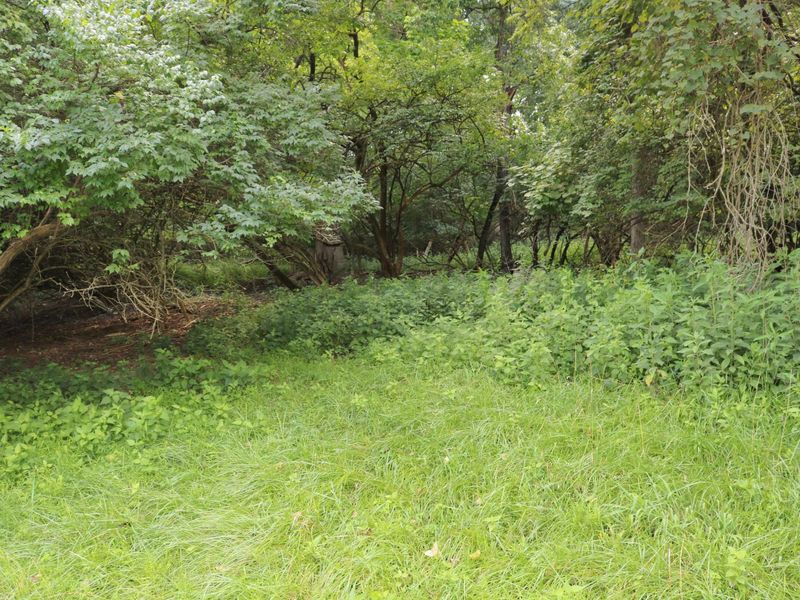 225 Ohio Avenue, Fort Thomas, KY 41071 Photo 2