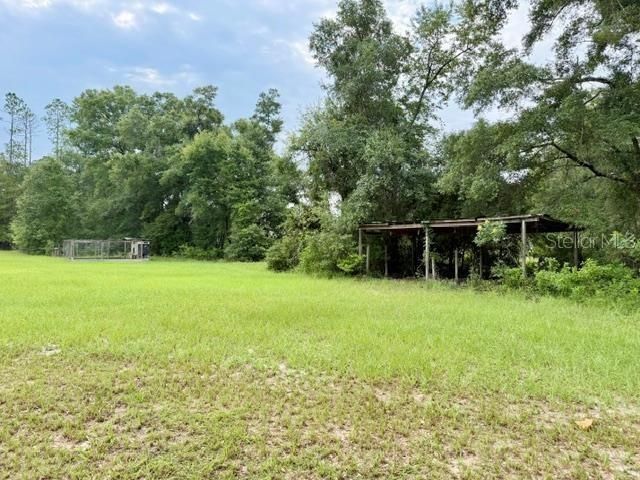 4689 NW 26th Street , Bell, FL 32619 Photo