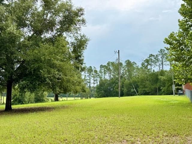 4689 NW 26th Street , Bell, FL 32619 Photo