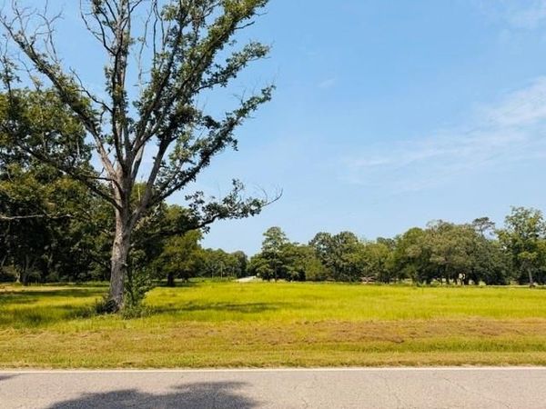 0 Driskell Loop Road W, Wilmer, AL 36587