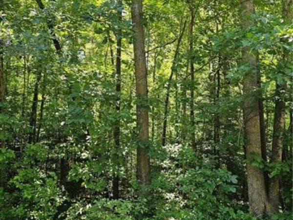 Lot 408 Pine Road , Lexington, NC 27292