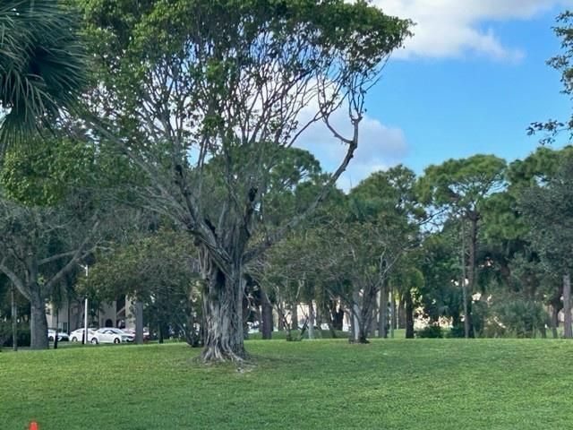 6061 N Falls Cir Drive, Unit 402, Lauderhill, FL 33319 Photo