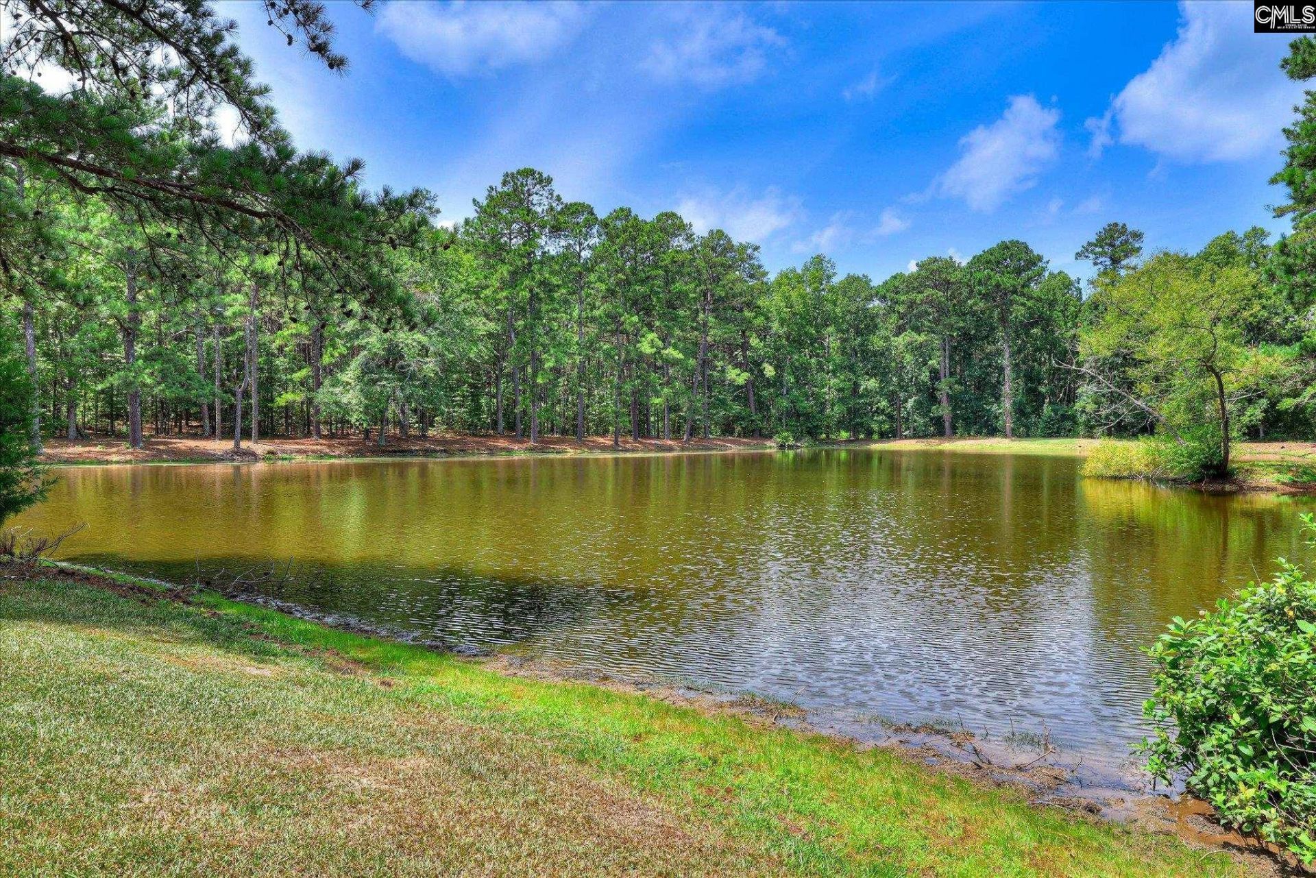 65 Long Cane Road  Photo 46