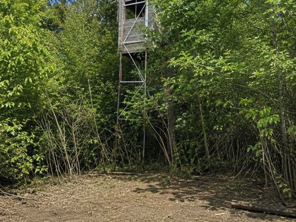 TBD Chimney Road , Nevis, MN 56467