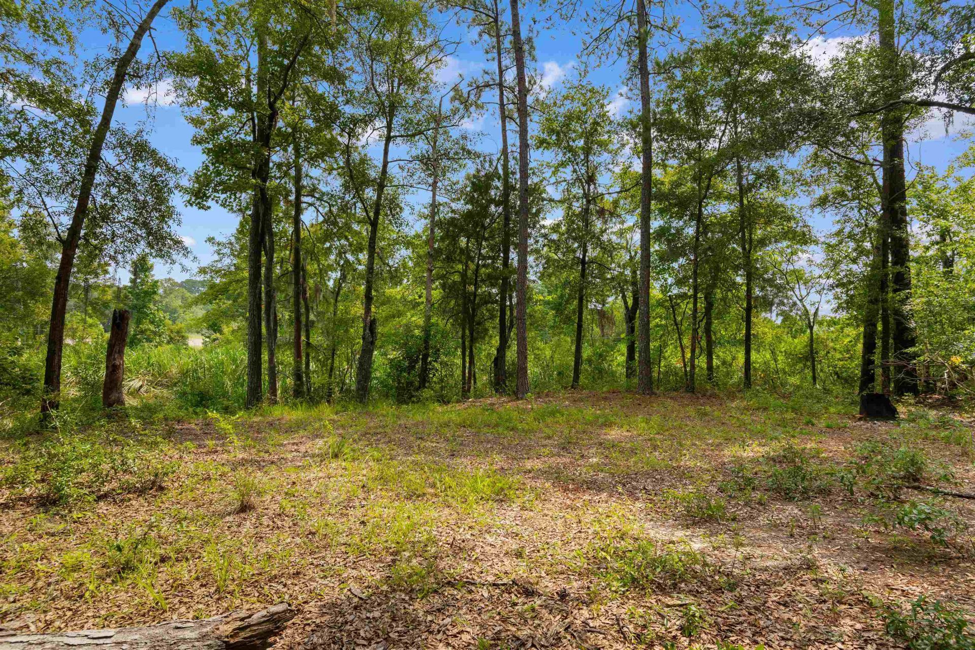 6518 N Fraser St. Photo 7