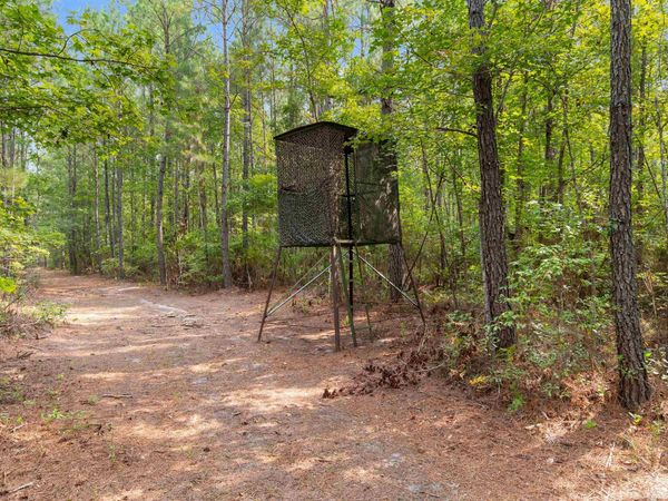 155.81 Acres - Roper Woods Rd., Lake City, SC 29560