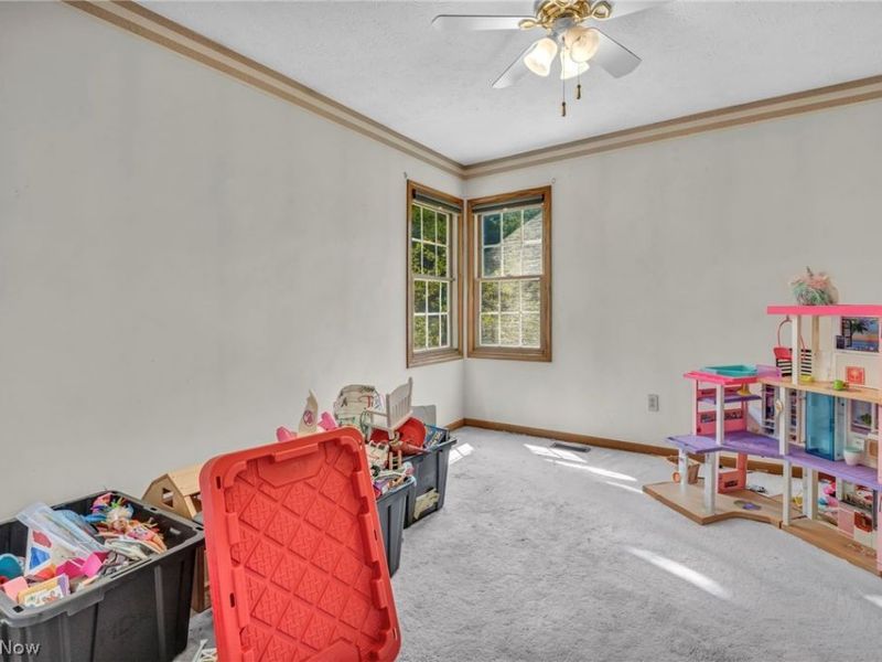 421 Summit Street, Wadsworth, OH 44281 Photo 29