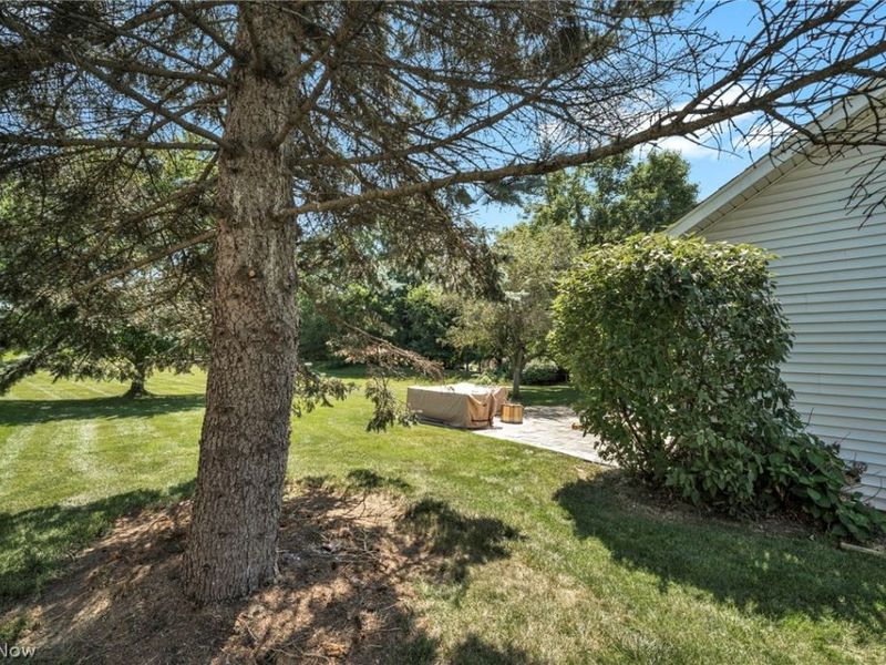 421 Summit Street, Wadsworth, OH 44281 Photo 47