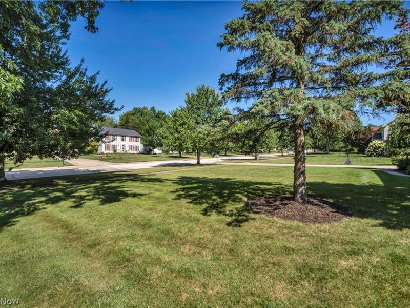 421 Summit Street, Wadsworth, OH 44281 Photo 50