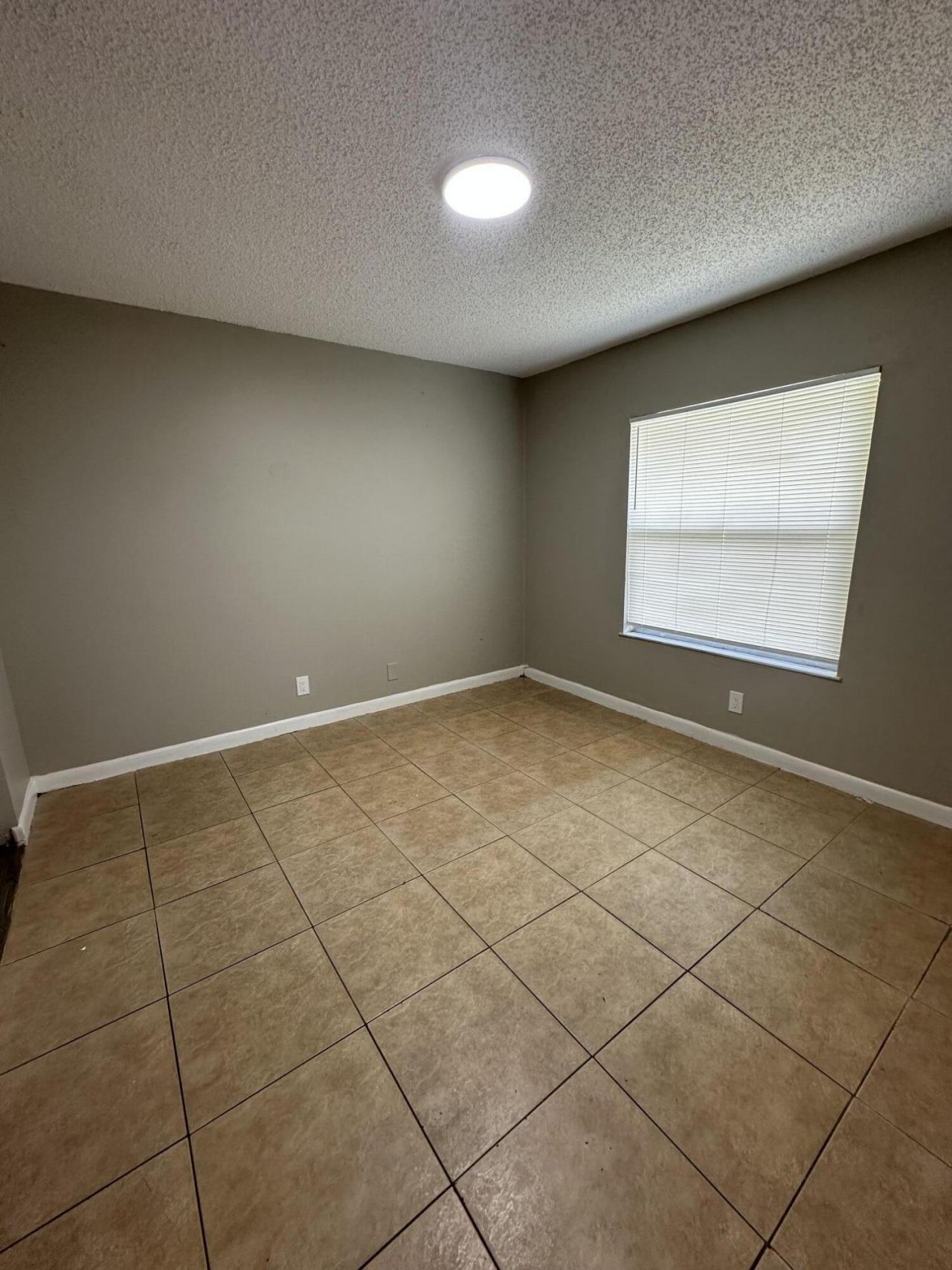 4833 Serafica Drive, Lake Worth, FL 33461 Photo