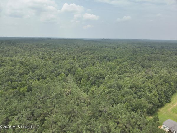 T K Lane , Pontotoc, MS 38863