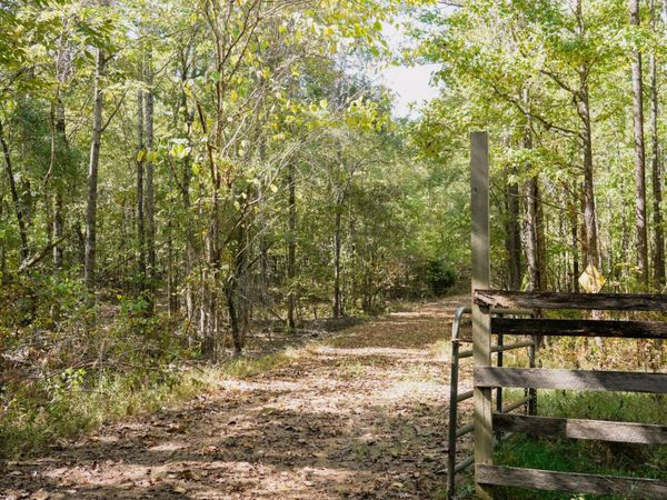 T K Lane, Pontotoc, MS 38863