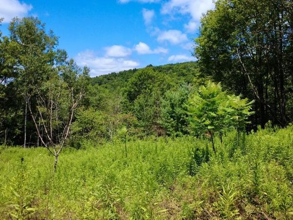 0 PANCAKE ROAD , CLARENCE, PA 16829
