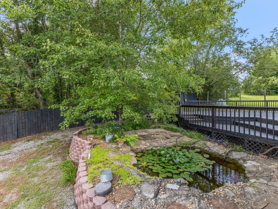 Property Image 49