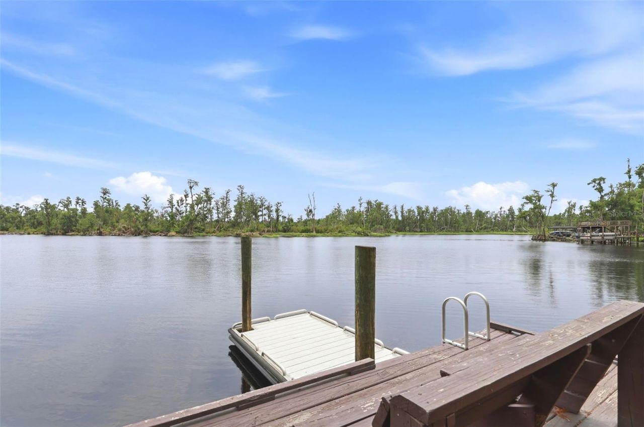 11310 Susans Point Drive, Clermont, FL 34711 Photo