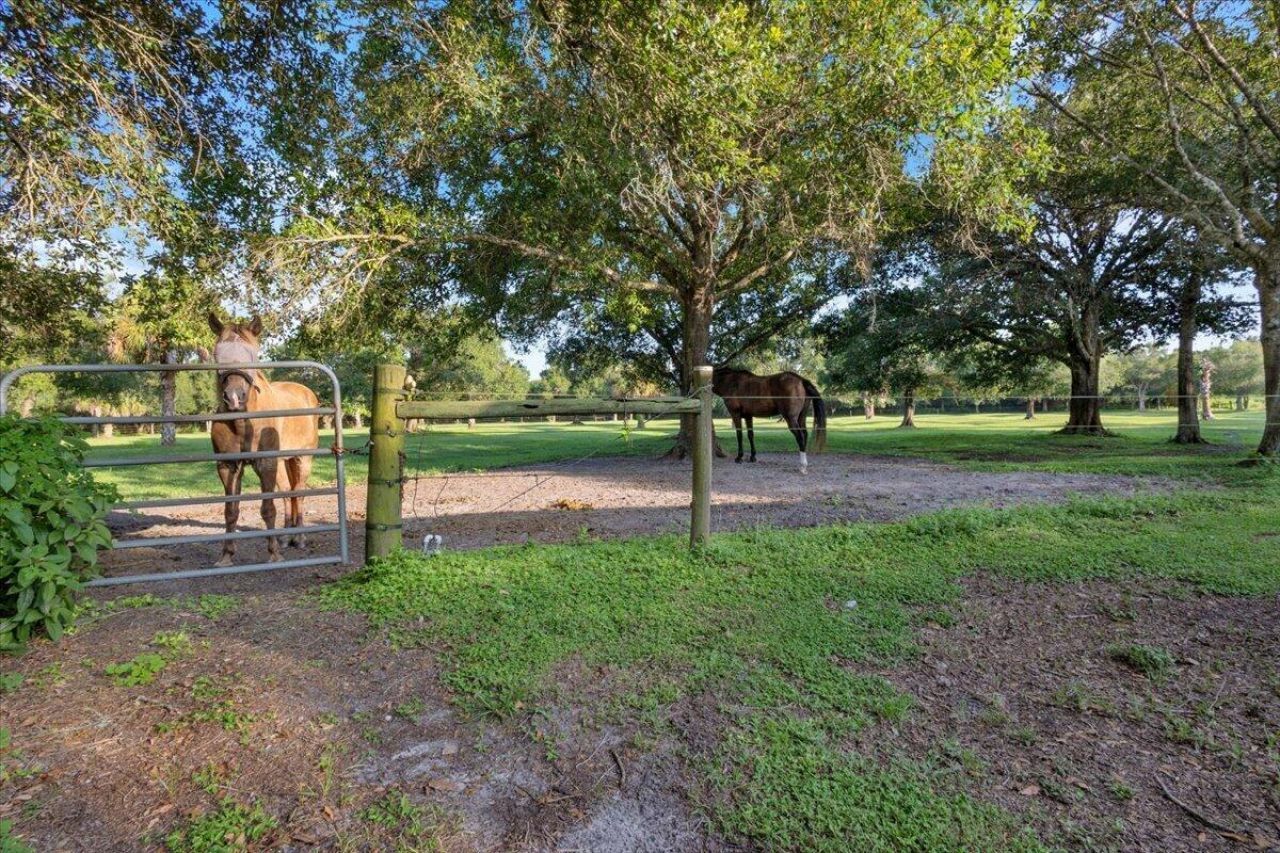 8505 Immokolee Road, Fort Pierce, FL 34951 Photo