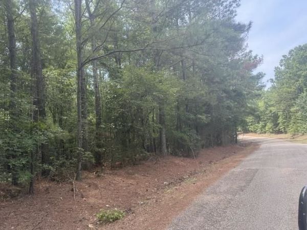 TRACT 4 HARDIN GRAVEYARD RD, Enville, TN 38332