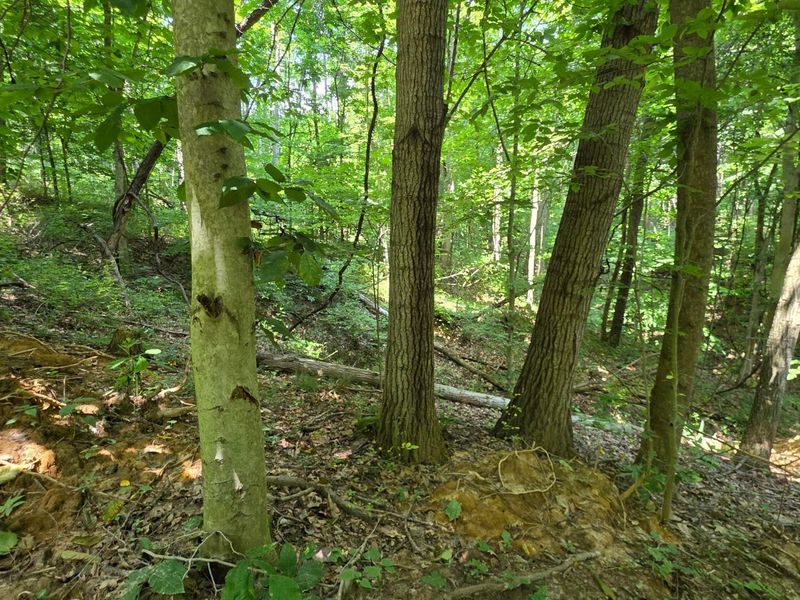 0 Dennis Road , Unit (Tract 2 a, Zanesville, OH 43701 Photo 16