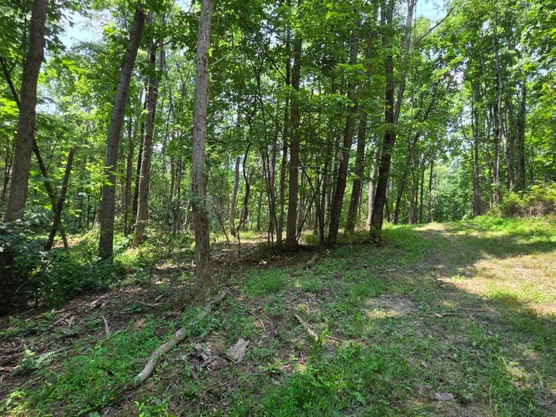 0 Dennis Road , Unit (Tract 2 a, Zanesville, OH 43701 Photo 18
