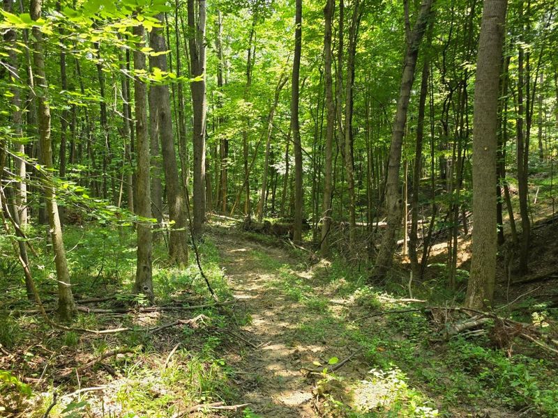 0 Dennis Road , Unit (Tract 2 a, Zanesville, OH 43701 Photo 2