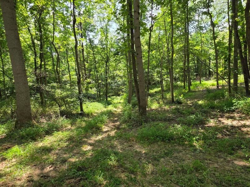 0 Dennis Road , Unit (Tract 2 a, Zanesville, OH 43701 Photo 3