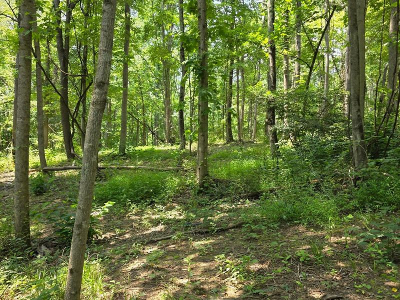 0 Dennis Road , Unit (Tract 2 a, Zanesville, OH 43701 Photo 9