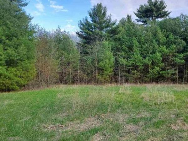 9.732 acres E Flint Street, Lyndon Station, WI 53944