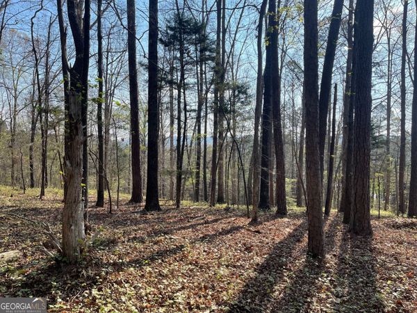 TRACT 1B CHALCREST Way, Cave Spring, GA 30124