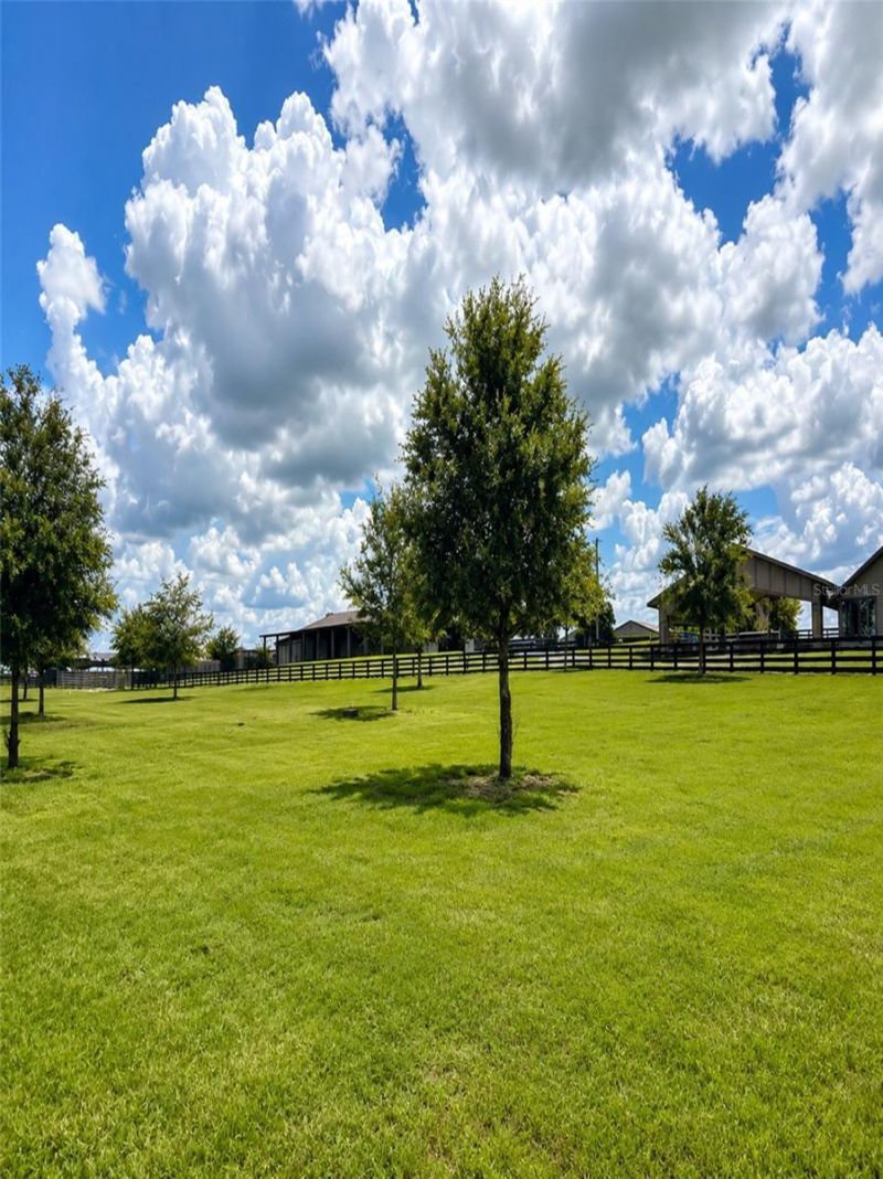 6820 County Road 561, Clermont, FL 34714 Photo