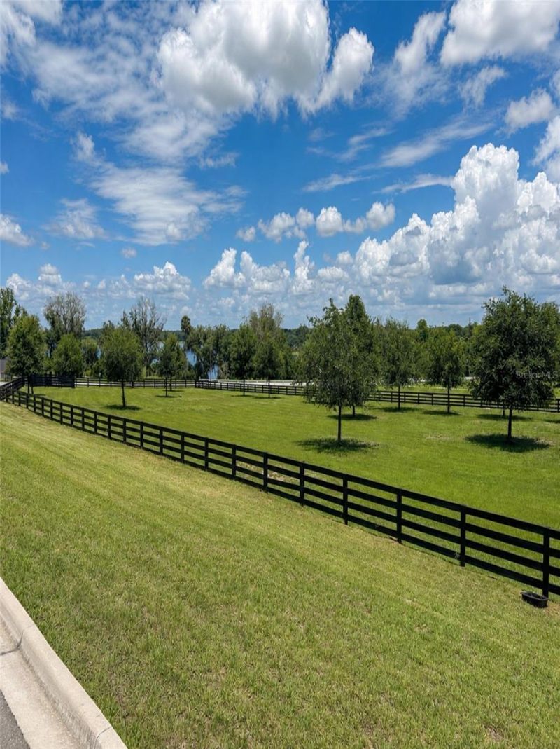 6820 County Road 561, Clermont, FL 34714 Photo