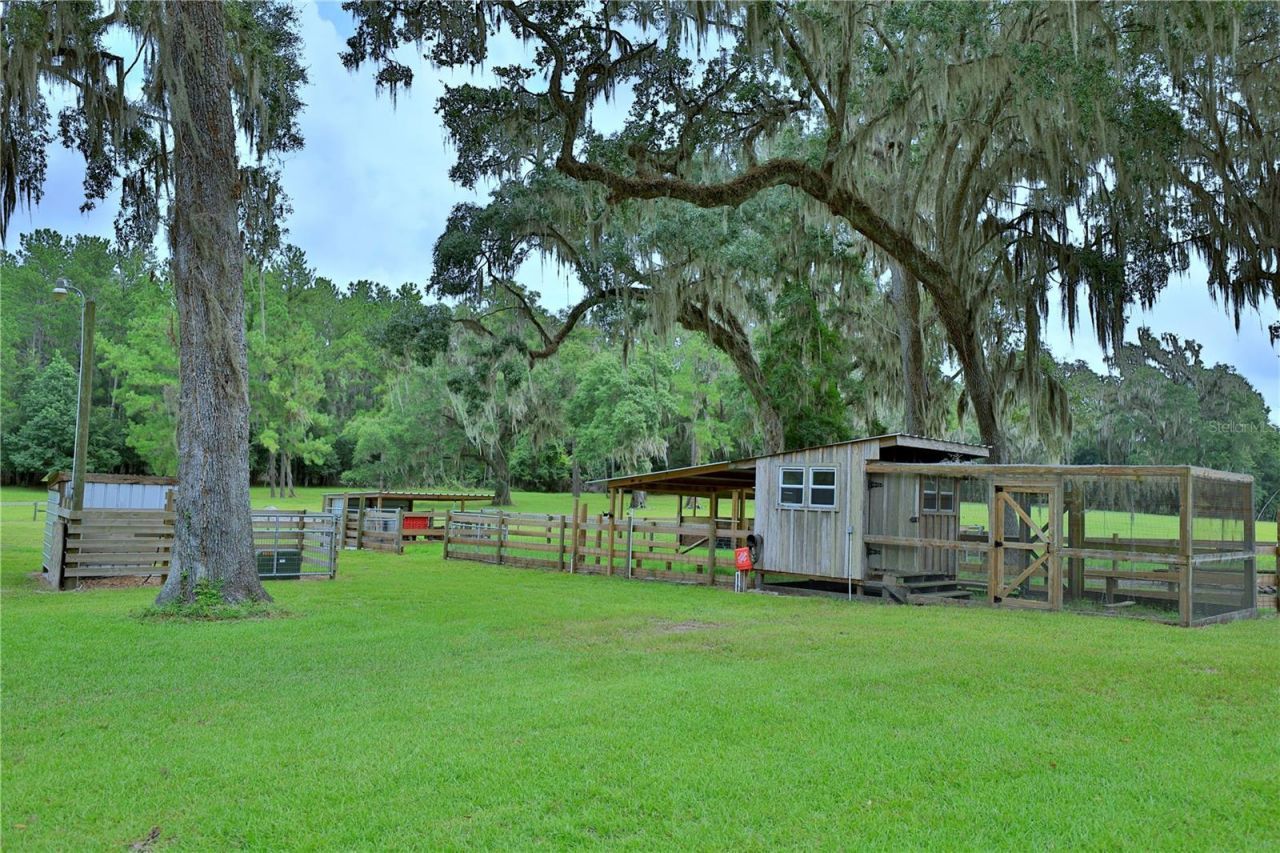8410 NE 155th Avenue, Williston, FL 32696 Photo