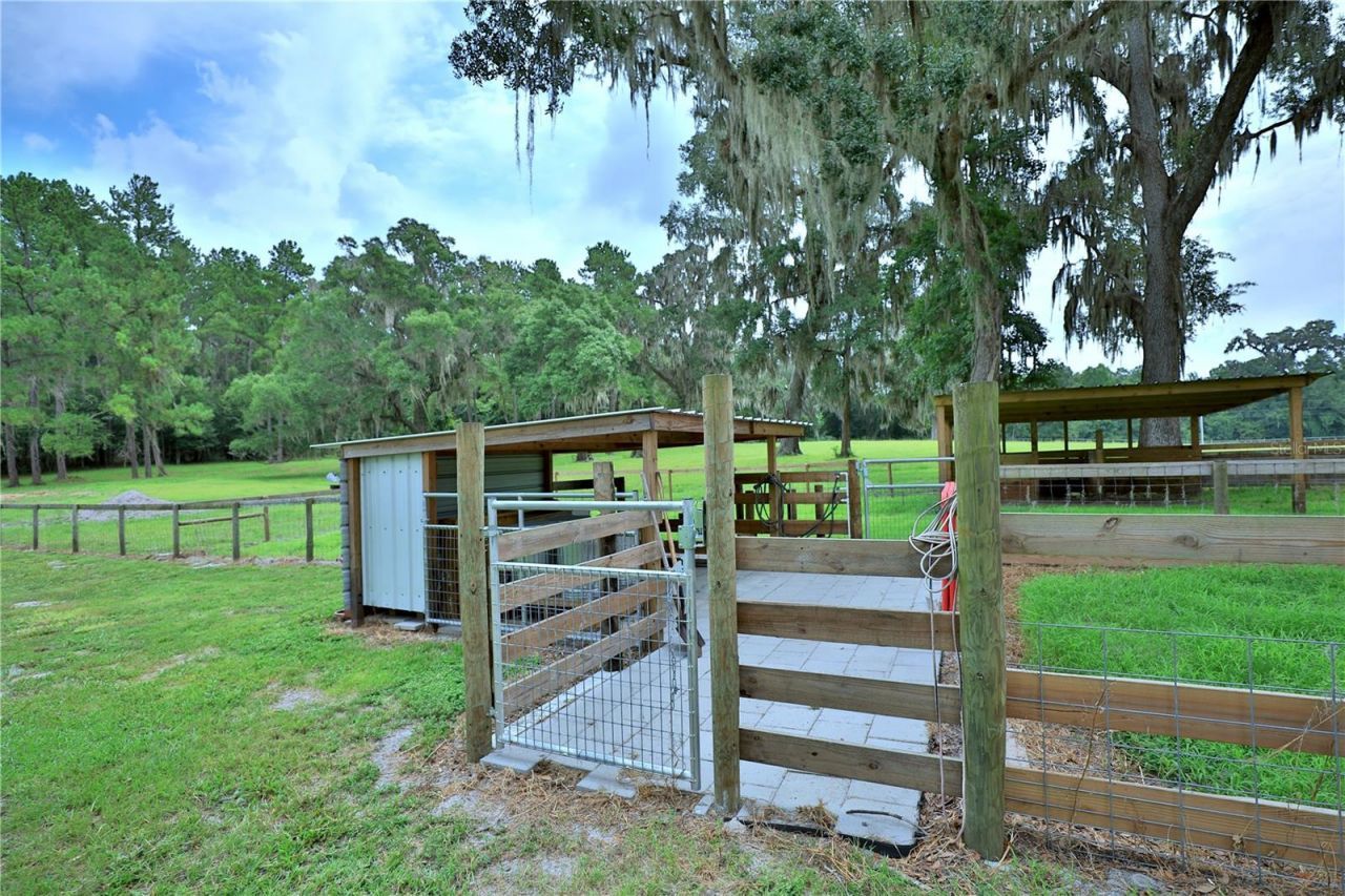 8410 NE 155th Avenue, Williston, FL 32696 Photo
