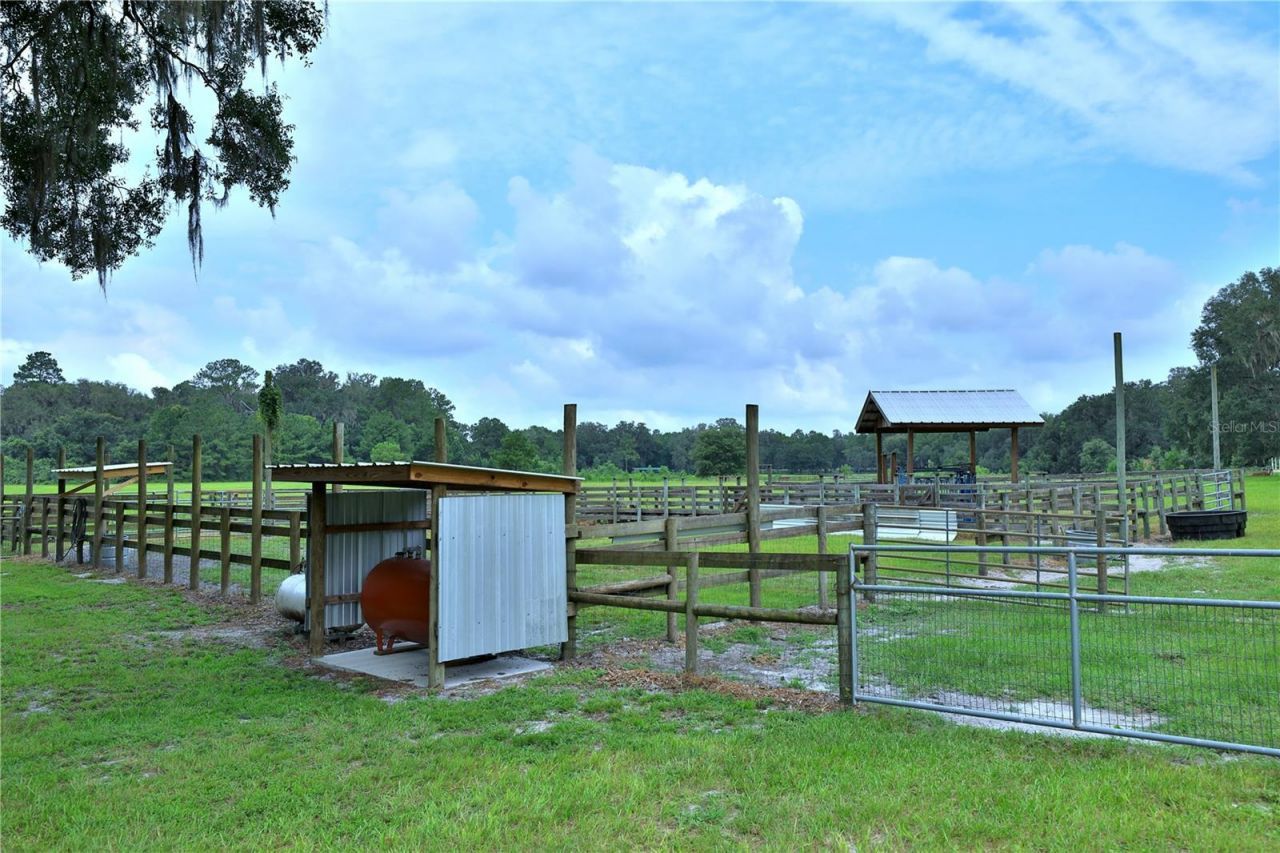 8410 NE 155th Avenue, Williston, FL 32696 Photo