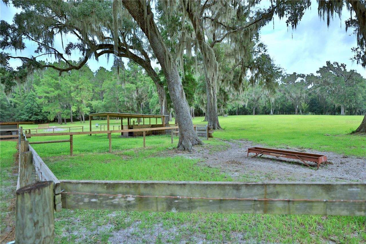 8410 NE 155th Avenue, Williston, FL 32696 Photo