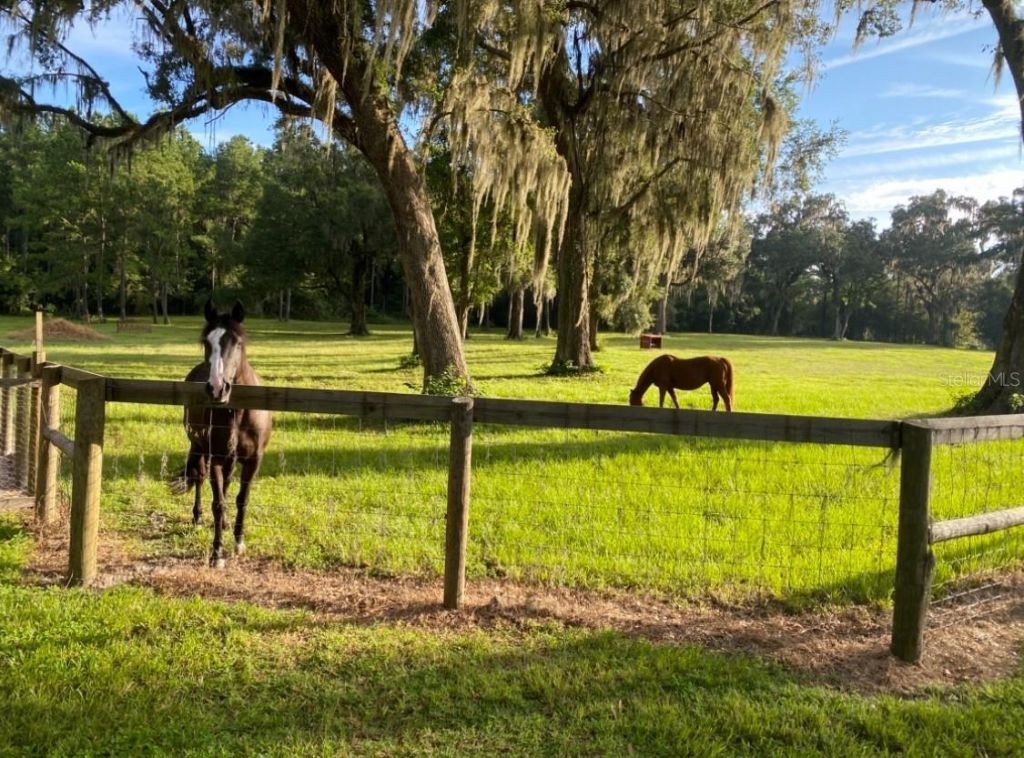 8410 NE 155th Avenue, Williston, FL 32696 Photo