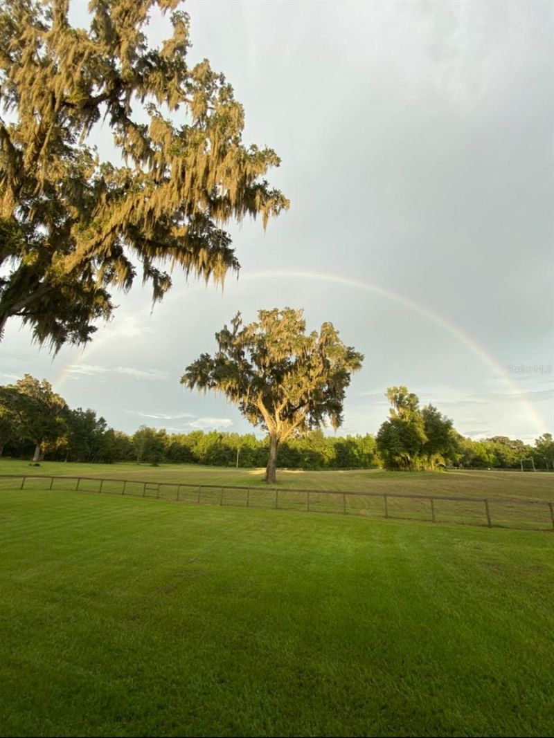8410 NE 155th Avenue, Williston, FL 32696 Photo