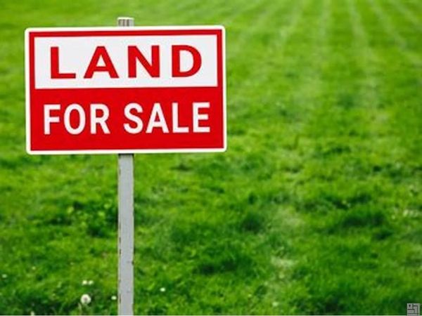 18292 Settlement Trace, Livingston, LA 70754