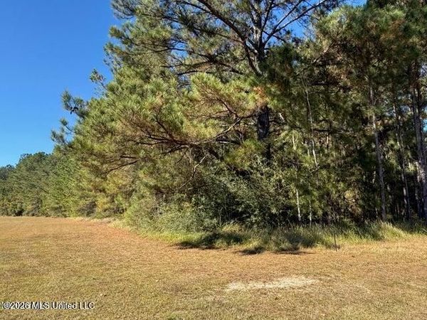 6.25ac Knob Town Rd , State Line, MS 39362