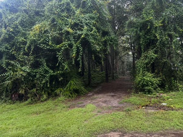 TBD NW 167TH PLACE , TRENTON, FL 32693