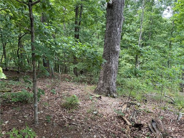 15 Dregg Lane , Bella Vista, AR 72714
