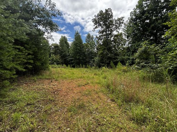0 Orme Mountain Road , South Pittsburg, TN 37380