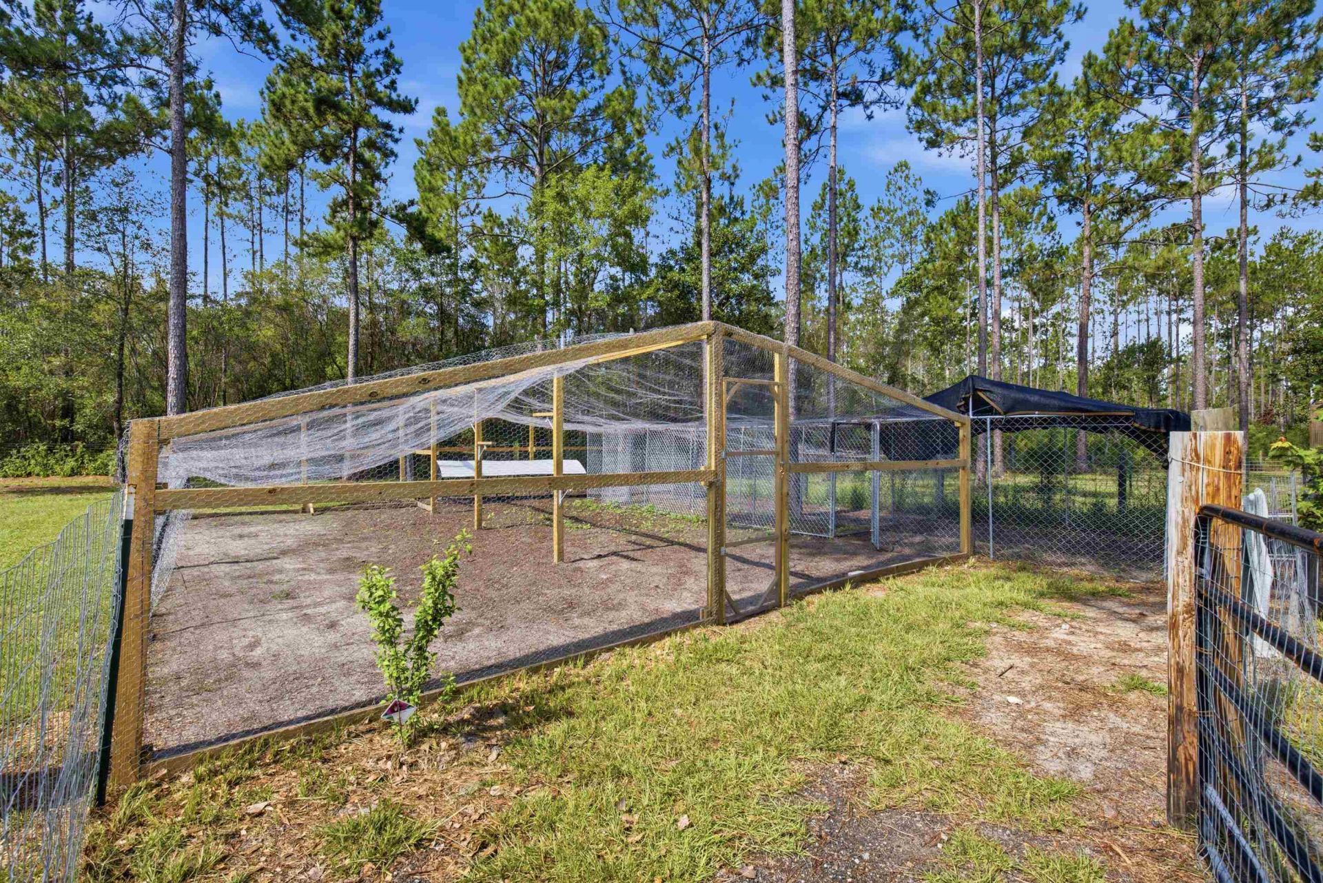 2860 Smith Creek Road, Sopchoppy, FL 32358 Photo