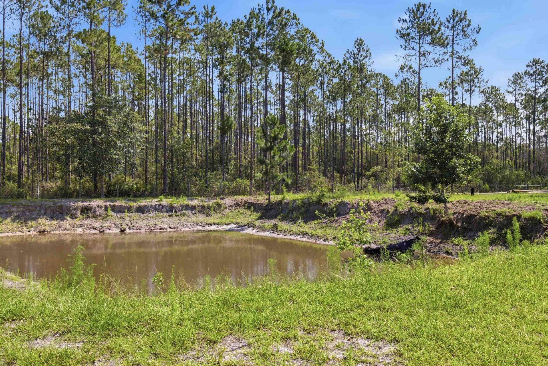 2860 Smith Creek Road, Sopchoppy, FL 32358 Photo