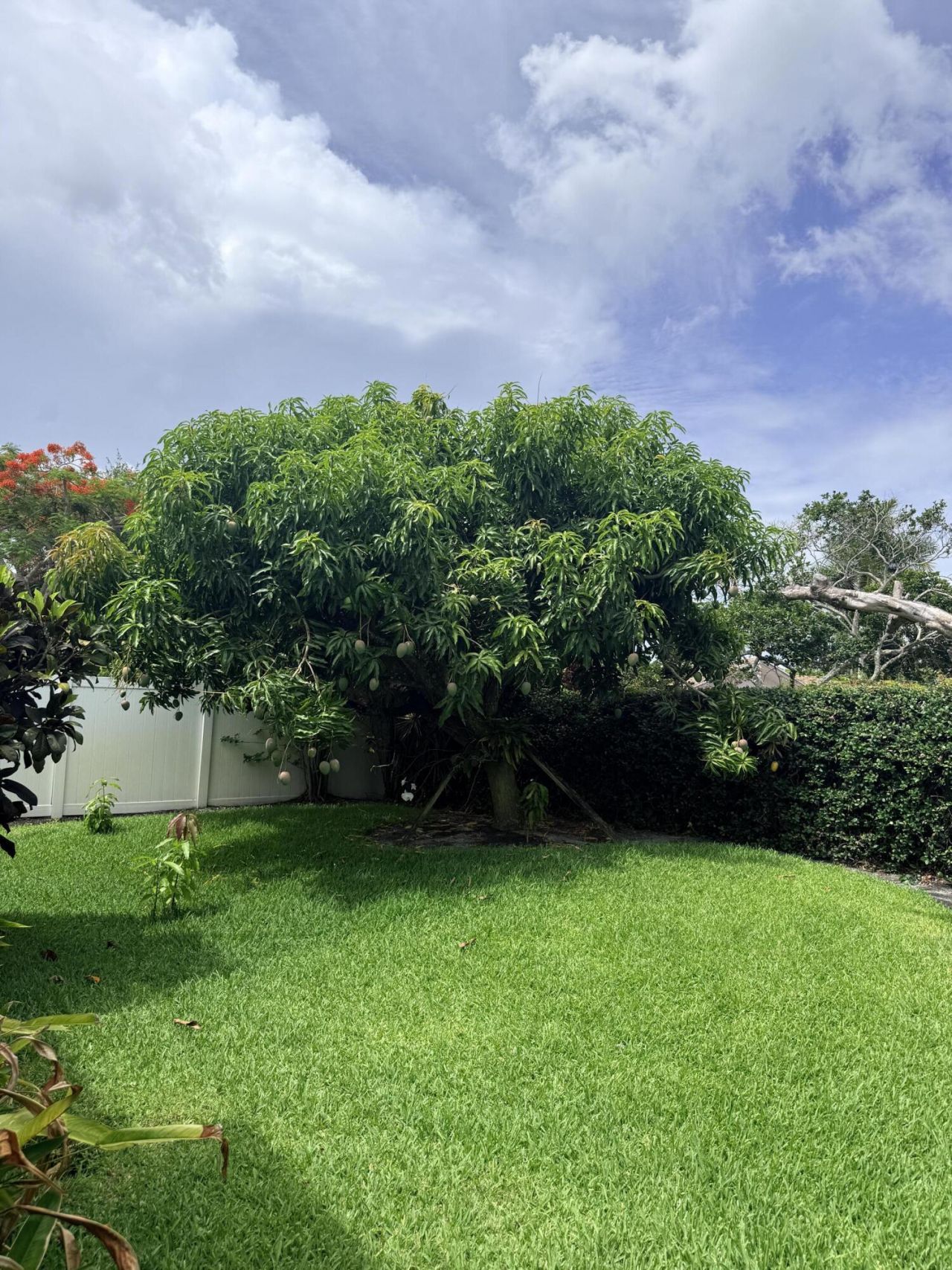 3509 NW 26th Court, Boca Raton, FL 33434 Photo